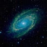 Nitin Kaushal